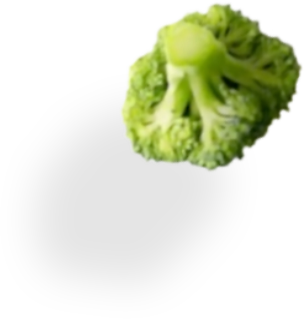 Broccoli